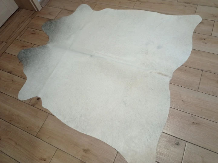 Naturalna skóra bydlęca KREMOWO-SZARA 155x145 cm rozłożona w dużym salonie  - dekoracyjneskory.pl