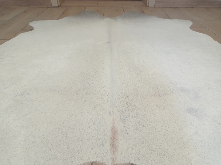 Naturalna skóra bydlęca KREMOWO-SZARA 155x145 cm rozłożona w dużym salonie  - zbliżenie na lśniący włos - dekoracyjneskory.pl