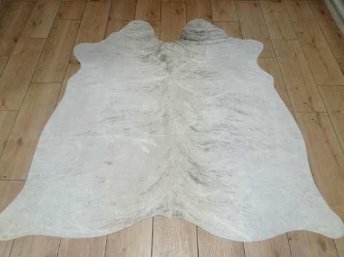 Naturalna skóra bydlęca KREMOWO-SZARA 150x148 cm rozłożona w dużym salonie  - dekoracyjneskory.pl