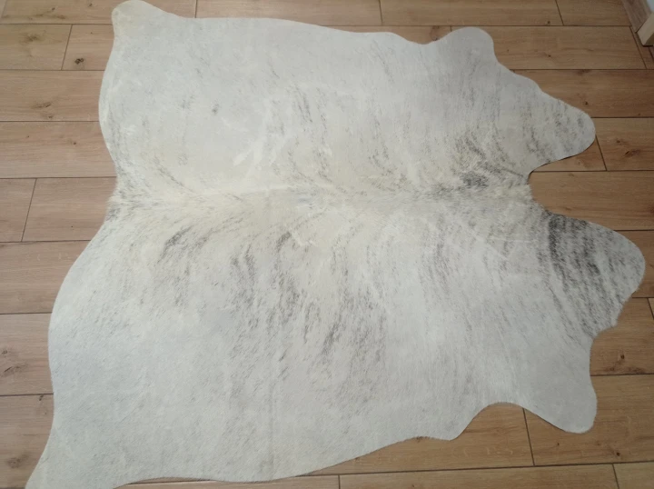 Naturalna skóra bydlęca KREMOWO-SZARA 150x148 cm rozłożona w dużym salonie  - dekoracyjneskory.p