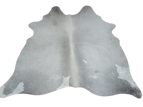 Naturalna skóra bydlęca SZARA 145x150 cm rozłożona w dużym salonie  - dekoracyjneskory.pl