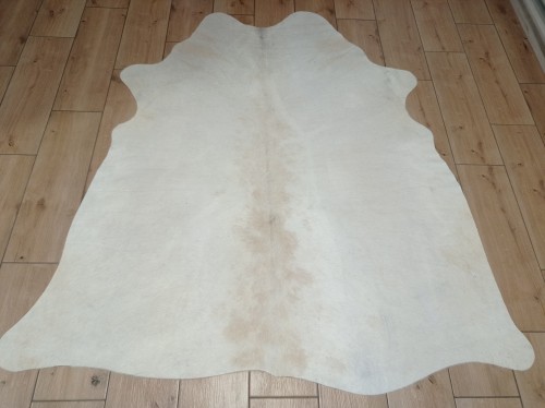 Naturalna skóra bydlęca KREMOWO-BEŻOWA 160x150 cm rozłożona w dużym salonie  - dekoracyjneskory.pl