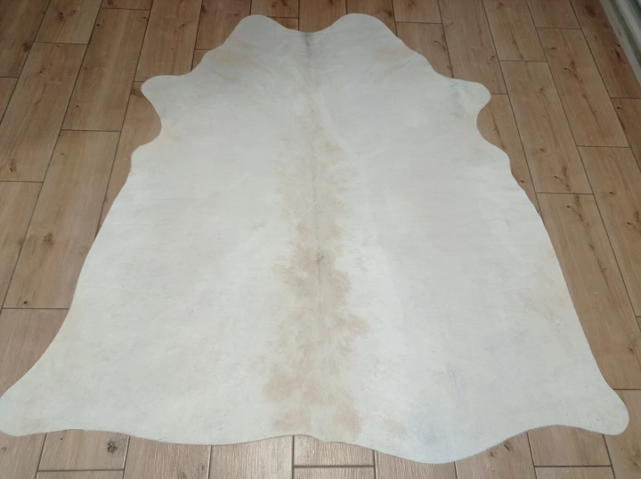 Naturalna skóra bydlęca KREMOWO-BEŻOWA 160x150 cm rozłożona w dużym salonie  - dekoracyjneskory.pl
