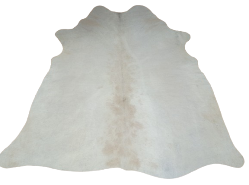 Naturalna skóra bydlęca KREMOWO-BEŻOWA 160x150 cm rozłożona w dużym salonie  - dekoracyjneskory.pl