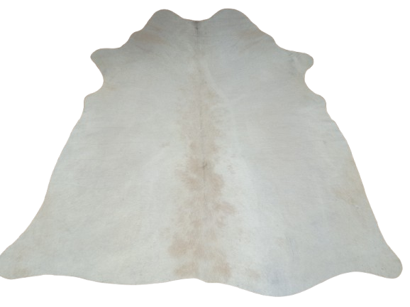 Naturalna skóra bydlęca KREMOWO-BEŻOWA 160x150 cm rozłożona w dużym salonie  - dekoracyjneskory.pl