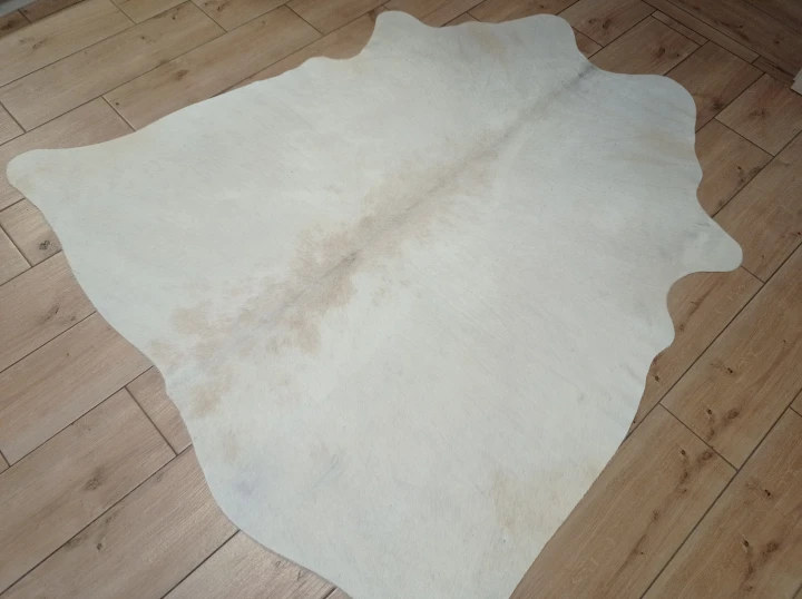 Naturalna skóra bydlęca KREMOWO-BEŻOWA 160x150 cm rozłożona w dużym salonie  - dekoracyjneskory.pl