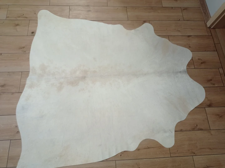 Naturalna skóra bydlęca KREMOWO-BEŻOWA 160x150 cm rozłożona w dużym salonie  - dekoracyjneskory.pl