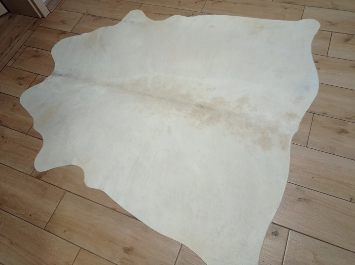 Naturalna skóra bydlęca KREMOWO-BEŻOWA 160x150 cm rozłożona w dużym salonie  - dekoracyjneskory.pl