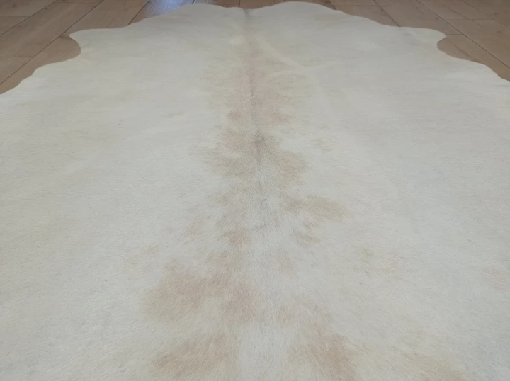 Naturalna skóra bydlęca KREMOWO-BEŻOWA 160x150 cm rozłożona w dużym salonie  - zbliżenie na lśniący włos - dekoracyjneskory.pl