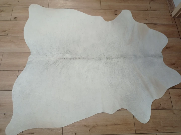 Naturalna skóra bydlęca KREMOWO-SZARA 160x135 cm rozłożona w dużym salonie  - dekoracyjneskory.pl