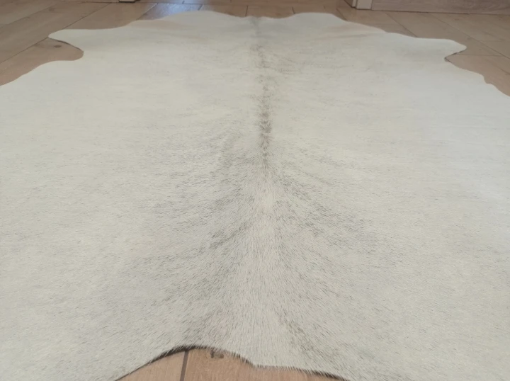 Naturalna skóra bydlęca KREMOWO-SZARA 160x135 cm rozłożona w dużym salonie  - zbliżenie na lśniący włos - dekoracyjneskory.pl