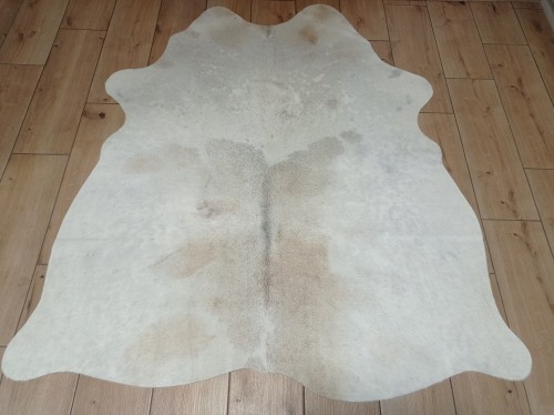 Naturalna skóra bydlęca BEŻOWO-KREMOWA 150x135 cm rozłożona w dużym salonie  - dekoracyjneskory.pl