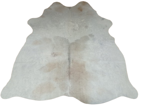 Naturalna skóra bydlęca BEŻOWO-KREMOWA 150x135 cm rozłożona w dużym salonie  - dekoracyjneskory.pl