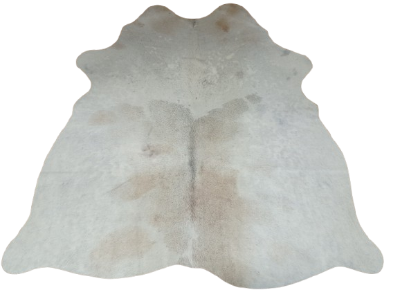 Naturalna skóra bydlęca BEŻOWO-KREMOWA 150x135 cm rozłożona w dużym salonie  - dekoracyjneskory.pl