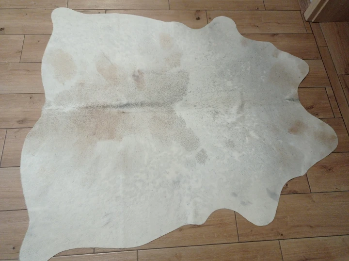 Naturalna skóra bydlęca BEŻOWO-KREMOWA 150x135 cm rozłożona w dużym salonie  - dekoracyjneskory.pl