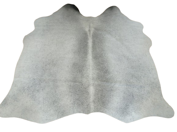 Naturalna skóra bydlęca SZARA 145x140 cm rozłożona w dużym salonie  - dekoracyjneskory.pl