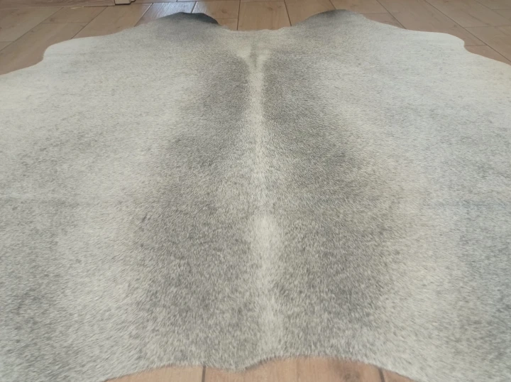 Naturalna skóra bydlęca SZARA 145x140 cm rozłożona w dużym salonie  - zbliżenie na lśniący włos - dekoracyjneskory.pl