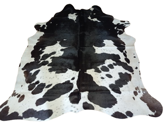 Naturalna skóra bydlęca ŁACIATA 185x185 cm rozłożona w dużym salonie  - dekoracyjneskory.pl