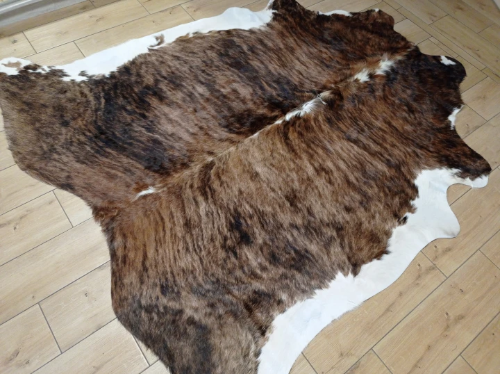 Naturalna skóra bydlęca TYGRYS 205x195 cm rozłożona w dużym salonie  - dekoracyjneskory.pl