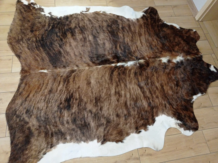 Naturalna skóra bydlęca TYGRYS 205x195 cm rozłożona w dużym salonie  - dekoracyjneskory.pl
