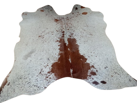 a95d9f08-1978-4cef-845a-98ee158d7612-removebg-preview