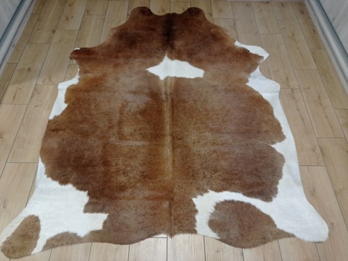 Naturalna skóra bydlęca brązowo-biała 200x165 cm rozłożona w dużym salonie  - dekoracyjneskory.pl
