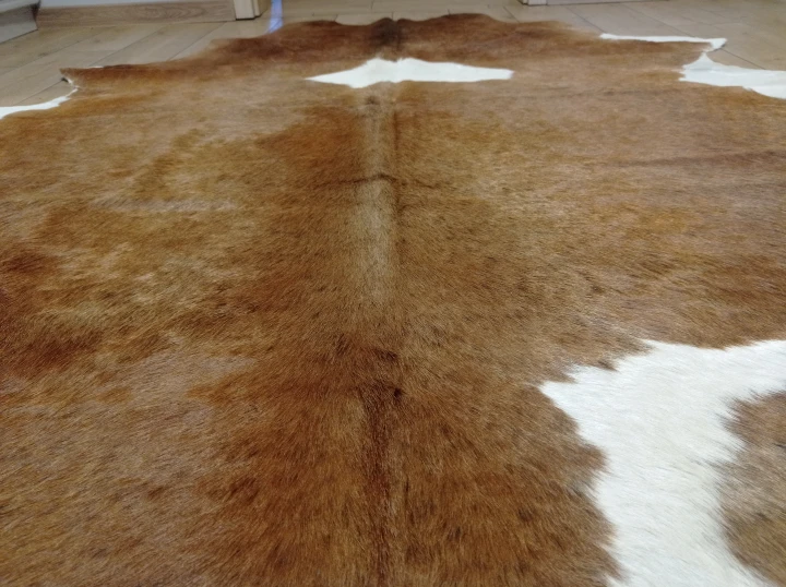 Naturalna skóra bydlęca brązowo-biała 200x165 cm rozłożona w dużym salonie  - zbliżenie na lśniący włos - dekoracyjneskory.pl
