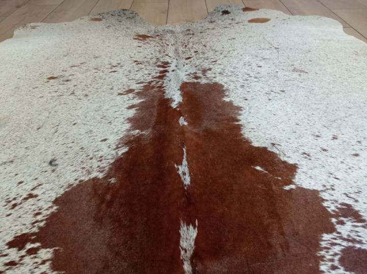 77dd02ac-0609-4e81-bb67-fdfce11e214e