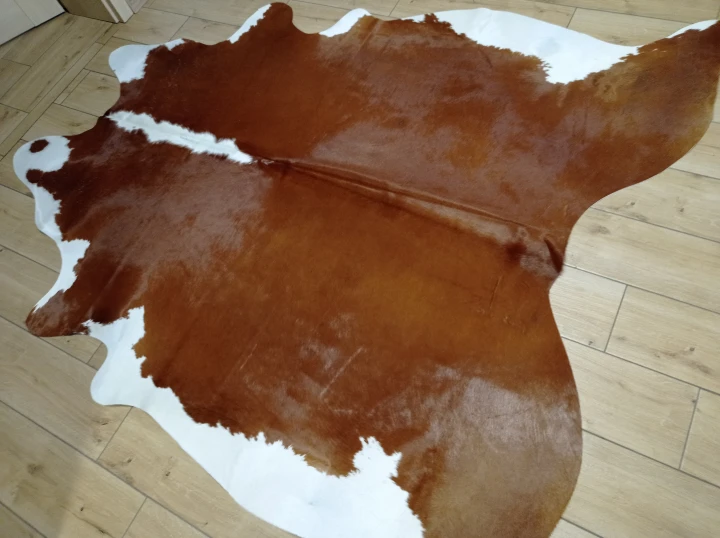 Naturalna skóra bydlęca 180x170 cm rozłożona w dużym salonie  - dekoracyjneskory.pl