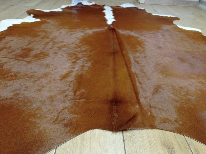 Naturalna skóra bydlęca 180x170 cm rozłożona w dużym salonie  - zbliżenie na lśniący włos - dekoracyjneskory.pl
