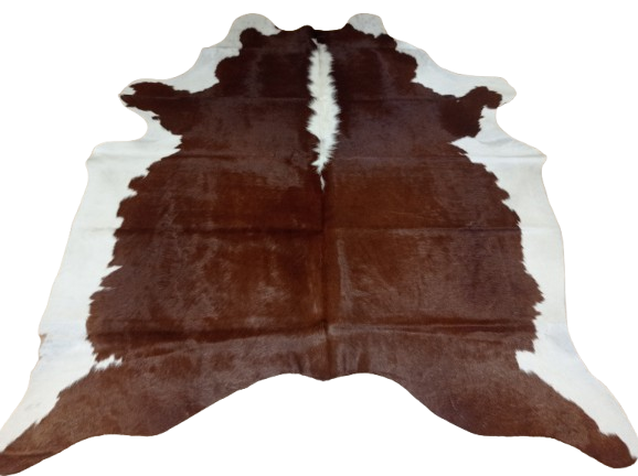 Naturalna skóra bydlęca 180x170 cm rozłożona w dużym salonie  - dekoracyjneskory.pl