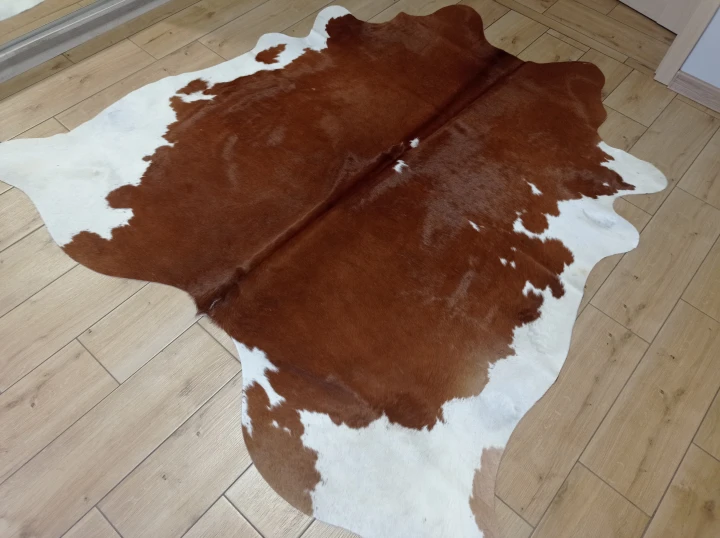 Naturalna skóra bydlęca 190x185 cm rozłożona w dużym salonie  - dekoracyjneskory.pl