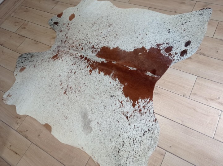 8b7c9bf3-b6af-46f5-82f9-4b69e52c7dd5