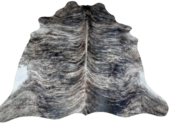 Naturalna skóra bydlęca 180x175 cm rozłożona w dużym salonie  - dekoracyjneskory.pl