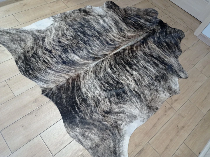Naturalna skóra bydlęca 180x175 cm rozłożona w dużym salonie  - dekoracyjneskory.pl
