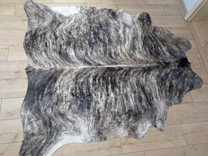 Naturalna skóra bydlęca 180x175 cm rozłożona w dużym salonie  - dekoracyjneskory.pl