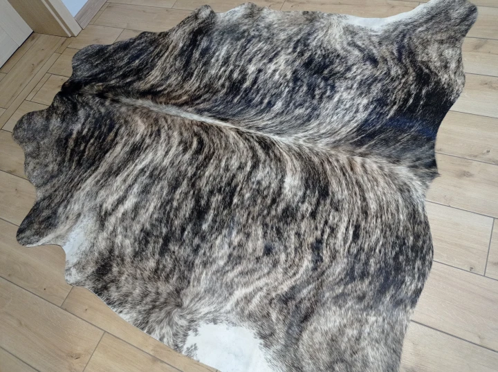 Naturalna skóra bydlęca 180x175 cm rozłożona w dużym salonie  - dekoracyjneskory.pl