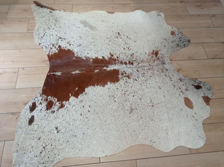 f7053e27-dfa2-46a7-ae26-f4accff18a80