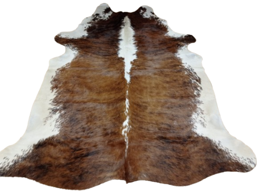 Naturalna skóra bydlęca BRĄZOWO-BIAŁA 210x190 cm rozłożona w dużym salonie  - dekoracyjneskory.pl
