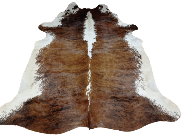 Naturalna skóra bydlęca BRĄZOWO-BIAŁA 210x190 cm rozłożona w dużym salonie  - dekoracyjneskory.pl