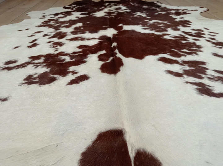 Naturalna skóra bydlęca BRĄZOWO-KREMOWA 205x180 cm rozłożona w dużym salonie  - zbliżenie na lśniący włos - dekoracyjneskory.pl
