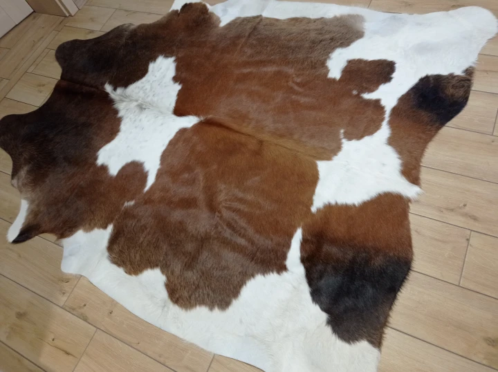 Naturalna skóra bydlęca BRĄZOWO-BIAŁA 205x180 cm rozłożona w dużym salonie  - dekoracyjneskory.pl