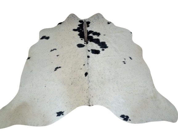 3f477afc-d07b-4396-9a06-79ea2337938a__1_-removebg-preview