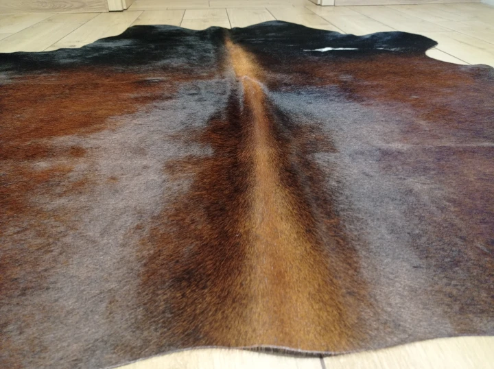 Naturalna skóra bydlęca BRĄZOWO-CZARNA 145x155 cm rozłożona w dużym salonie  - zbliżenie na lśniący włos - dekoracyjneskory.pl