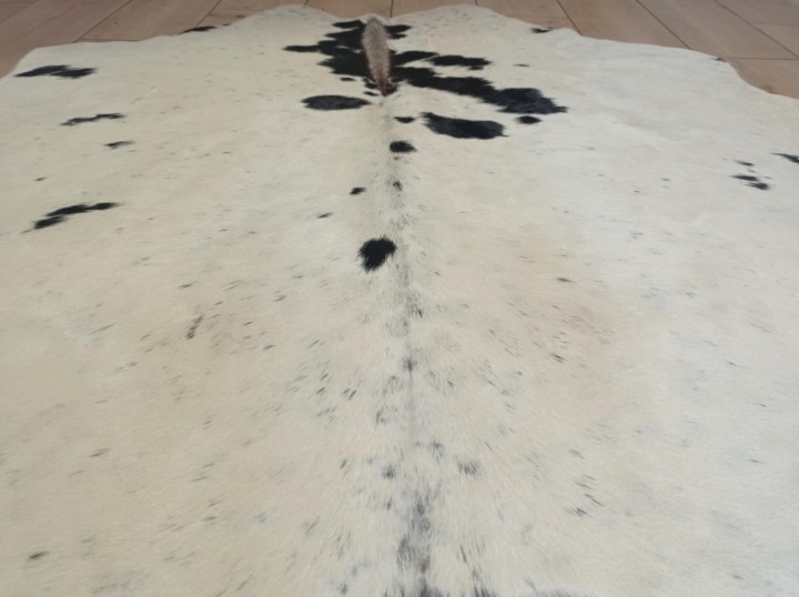 c5494462-721b-4dd3-8abb-5c265ad0cc12