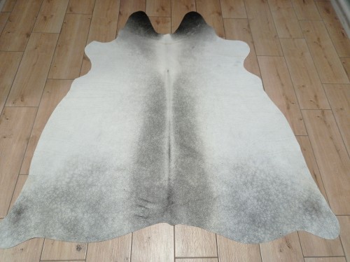Naturalna skóra bydlęca SZARA 160x155 cm rozłożona w dużym salonie  - dekoracyjneskory.pl