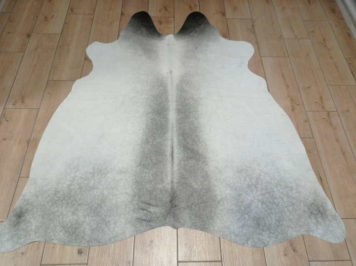 Naturalna skóra bydlęca SZARA 160x155 cm rozłożona w dużym salonie  - dekoracyjneskory.pl
