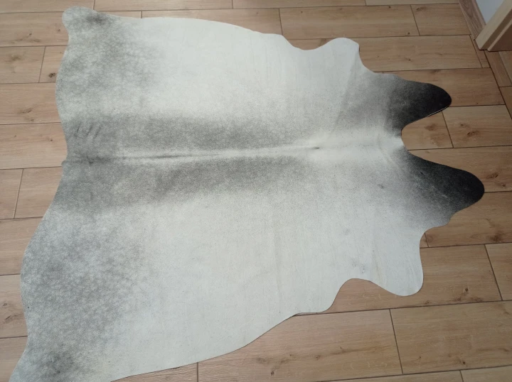 Naturalna skóra bydlęca SZARA 160x155 cm rozłożona w dużym salonie  - dekoracyjneskory.pl