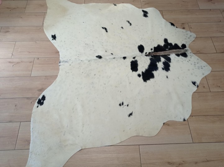 67a2f011-0474-489d-8e60-2e6ff9e75858 (1)