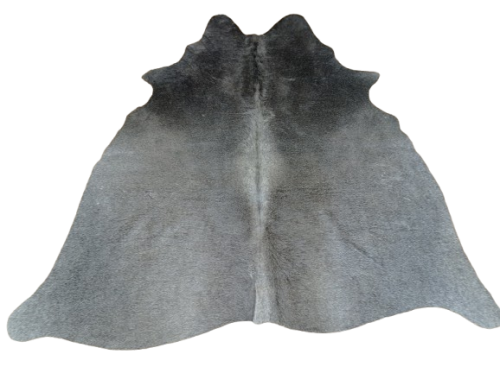 Naturalna skóra bydlęca CIEMNOSZARA 152x152 cm rozłożona w dużym salonie  - dekoracyjneskory.pl